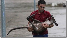 queensland floods australia