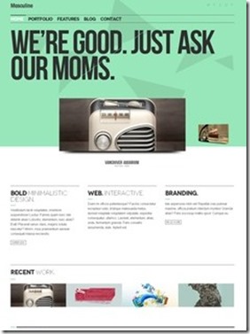 web site theme wordpress