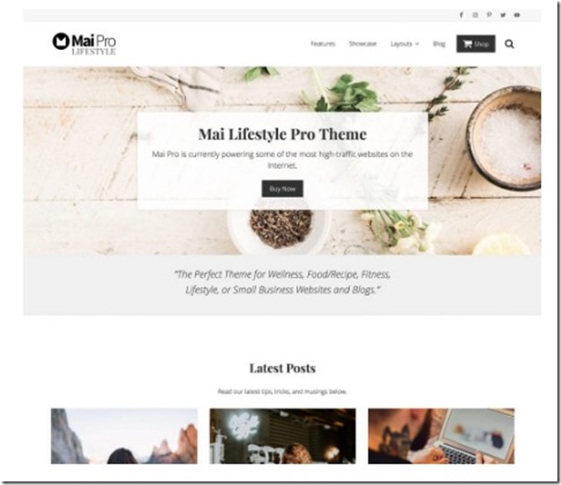 Mai Lifestyle Pro Theme by genesis